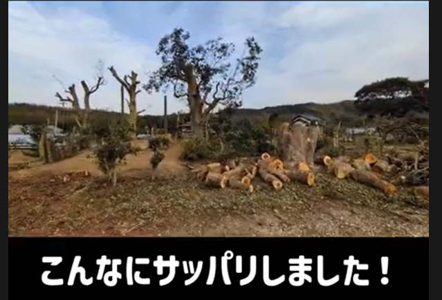 木こりの与作の紹介写真_2枚目