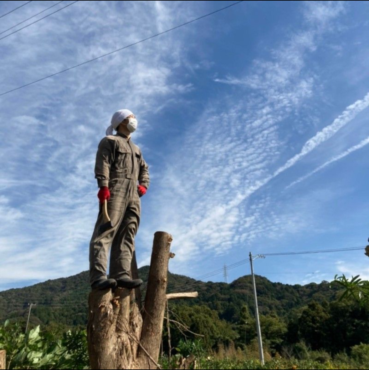 出張費（県内一律）の画像